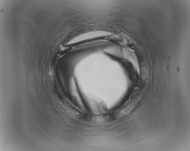 X0000071790613200607282304