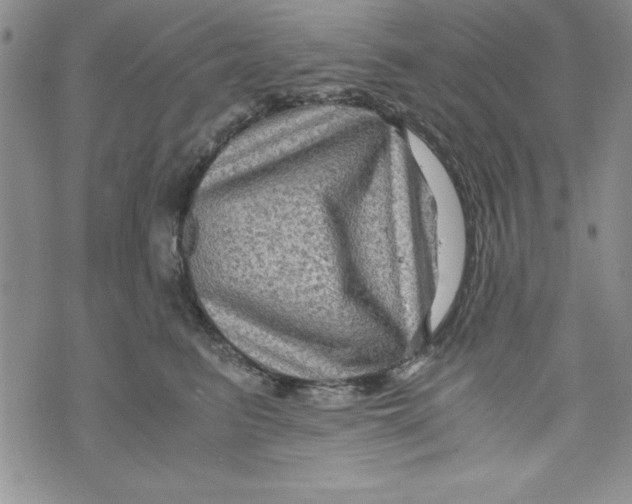 X0000071790615200607282304