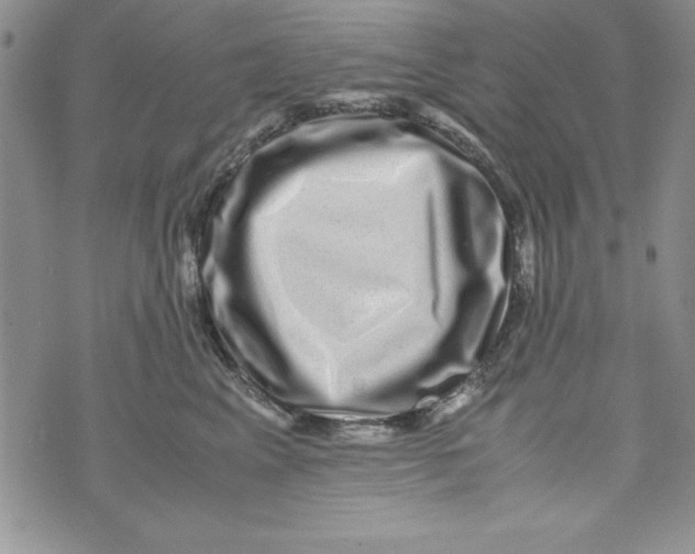 X0000071790617200607282304