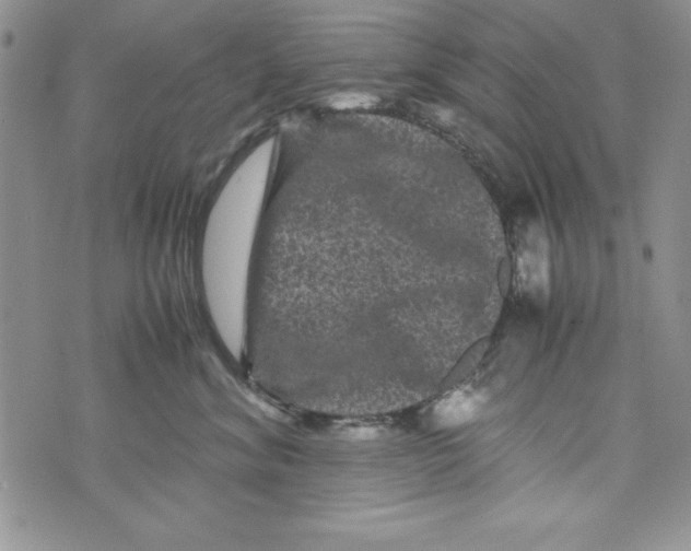 X0000071790620200607282304