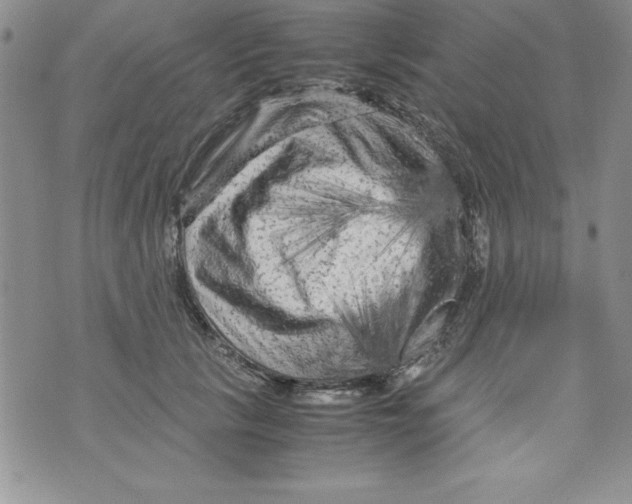 X0000071790657200607282304
