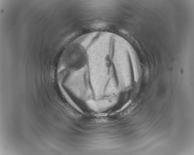 X0000071790668200607282304