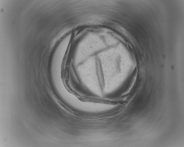 X0000071790677200607282303