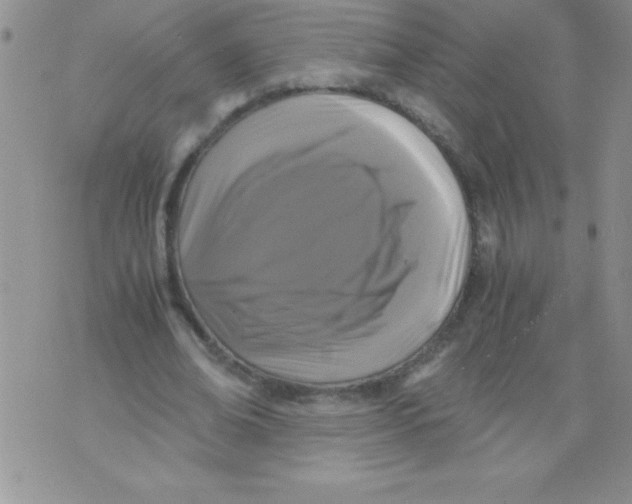 X0000071790678200607282303