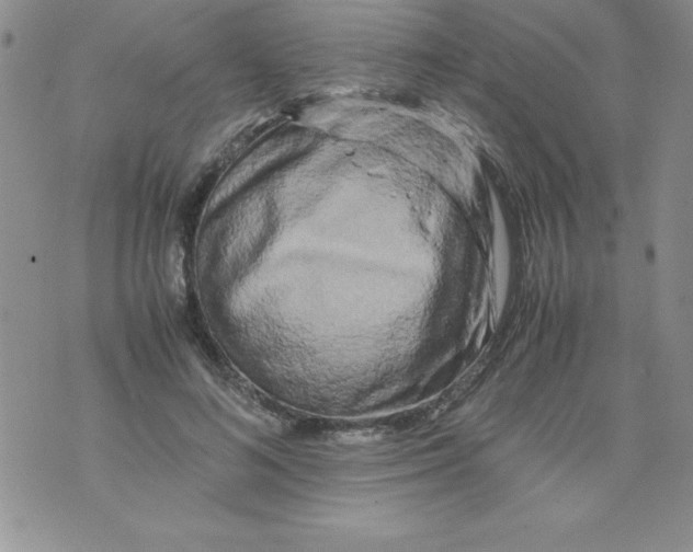 X0000071790692200607282303