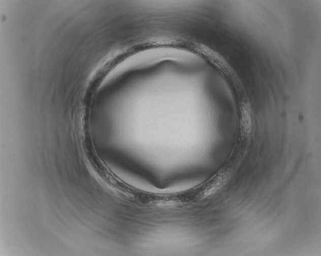 X0000071790730200607282302