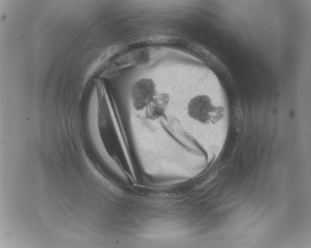 X0000071790734200607282302