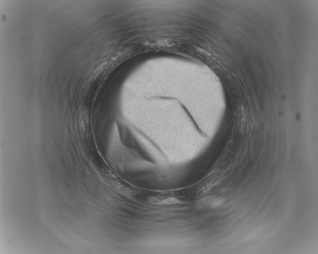 X0000071790747200607282302