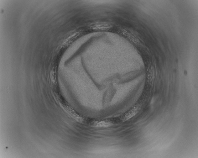 X0000071790755200607282302