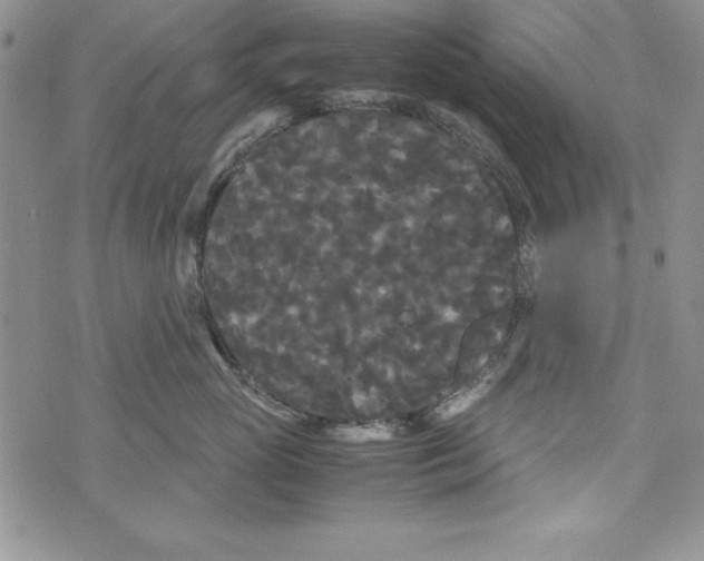 X0000071790765200607282303