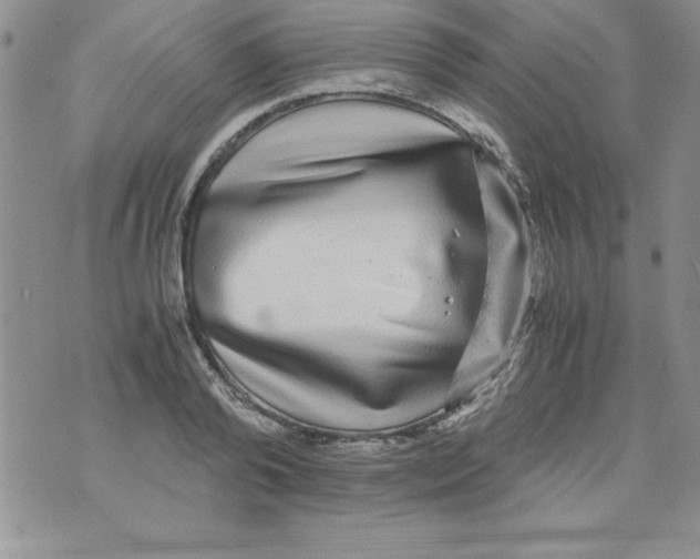 X0000071790792200607282301