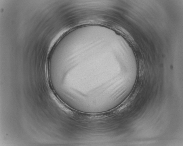 X0000071790796200607282301