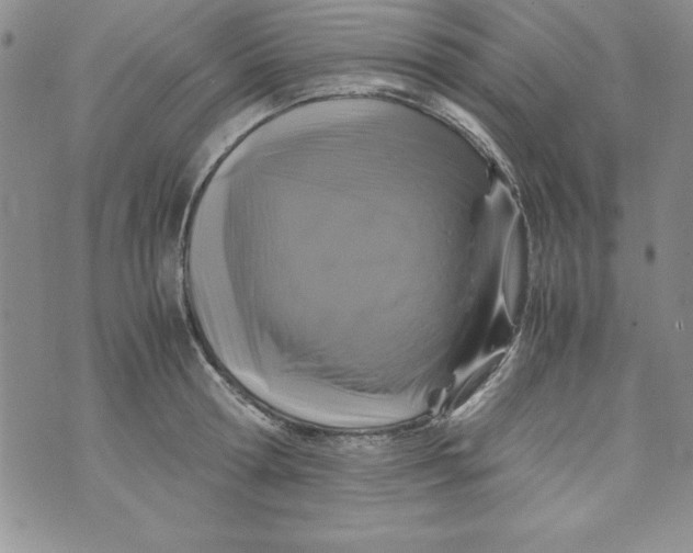 X0000071790802200607282301