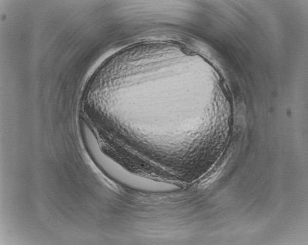 X0000071790803200607282301