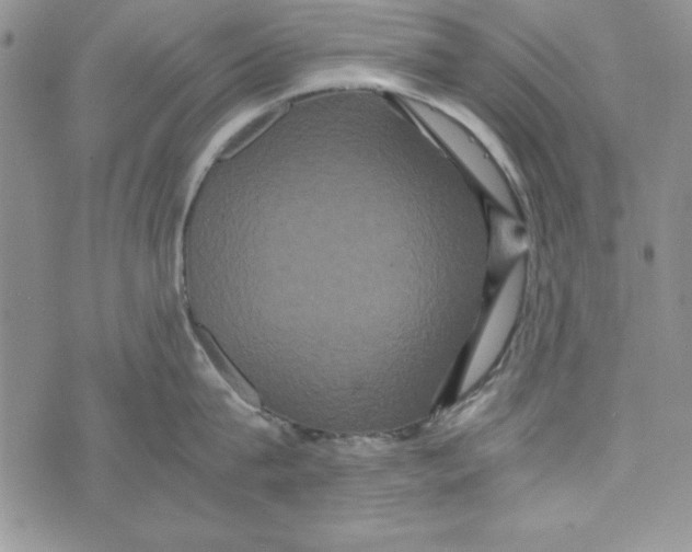 X0000071790815200607282301