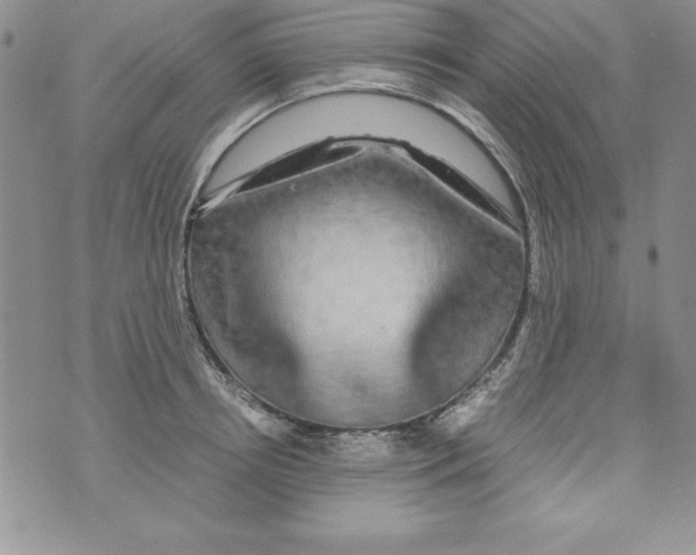 X0000071790850200607282301