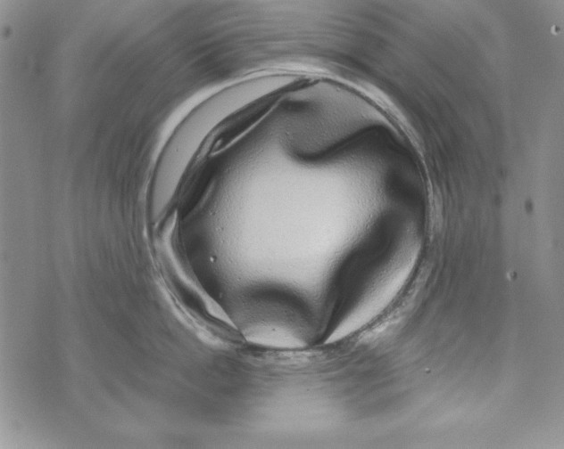 X0000071790862200607282301