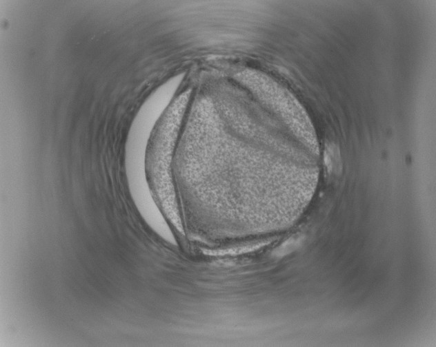 X0000071790867200607282300