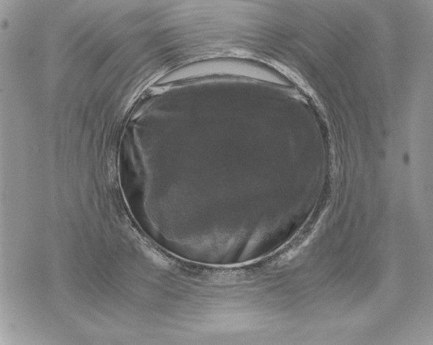 X0000071790889200607282300