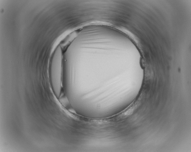 X0000071790910200607282259