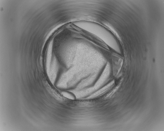 X0000071790932200607282259