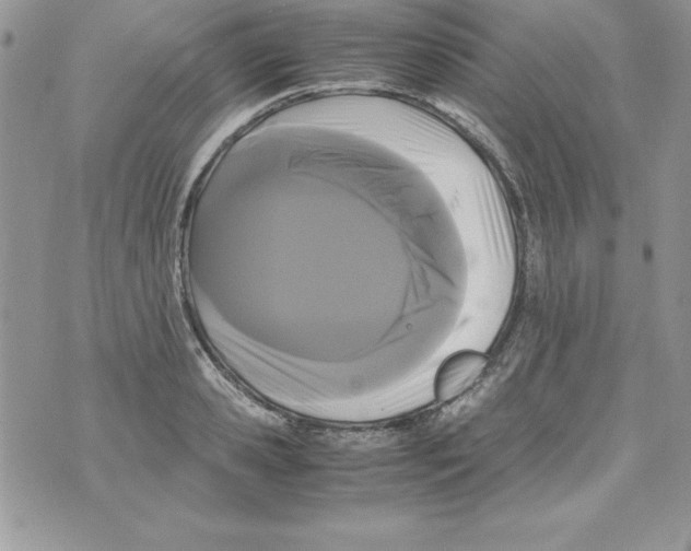 X0000071790941200607282259