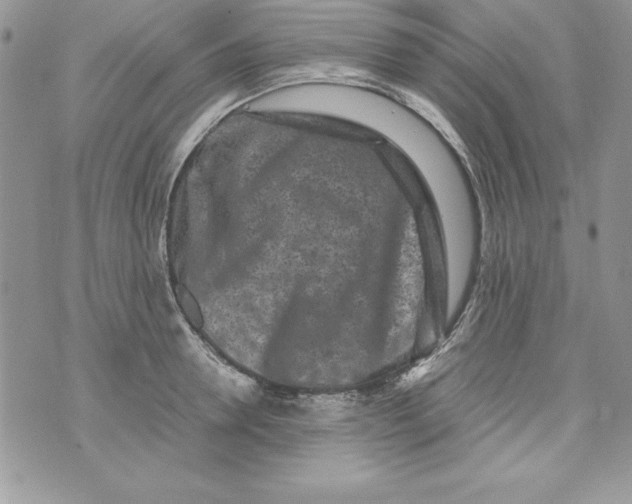 X0000071790946200607282259