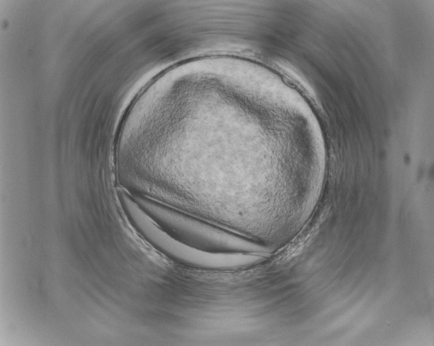 X0000071790948200607282259