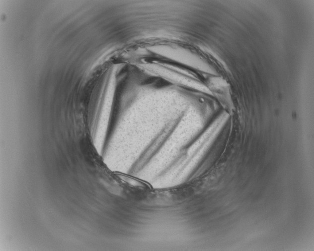 X0000071790968200607282259