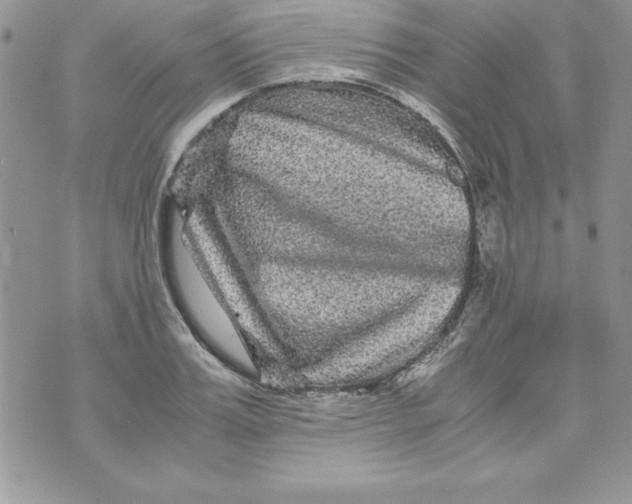 X0000071790987200607282258
