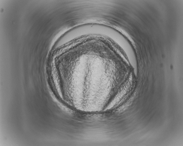 X0000071790991200607282258