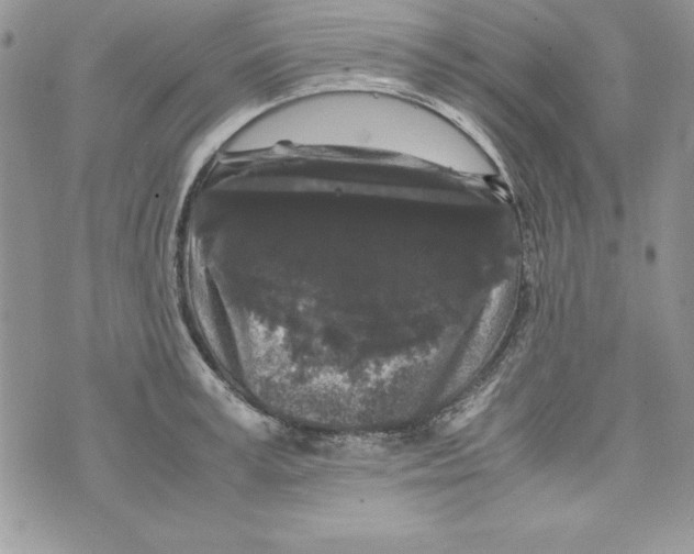 X0000071790995200607282258