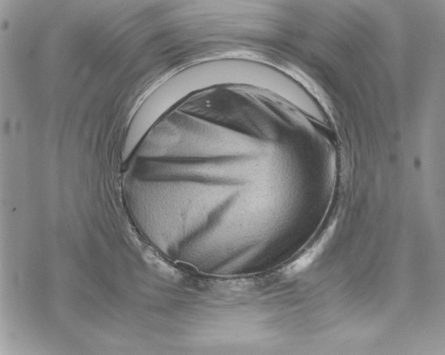 X0000071791001200607282258