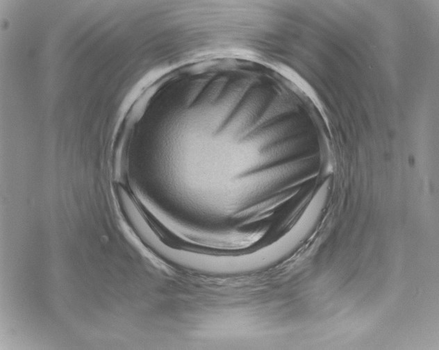 X0000071791005200607282258