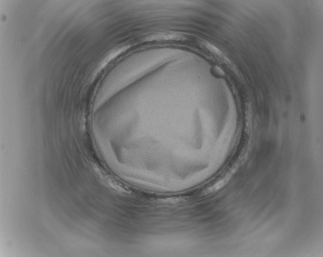 X0000071791017200607282257