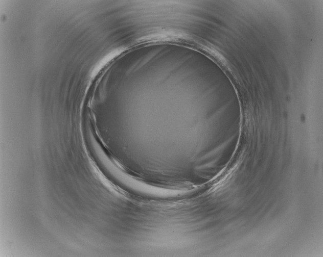X0000071791034200607282258