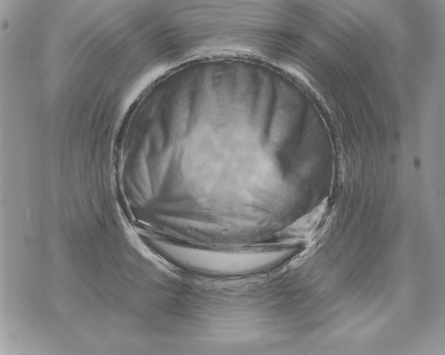 X0000071791038200607282258