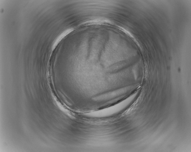X0000071791042200607282258