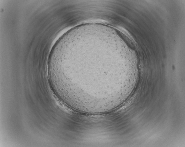 X0000071791044200607282258