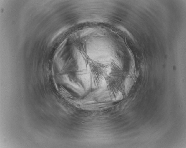X0000071791064200607282257