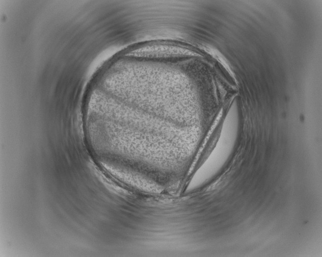 X0000071791072200607282257