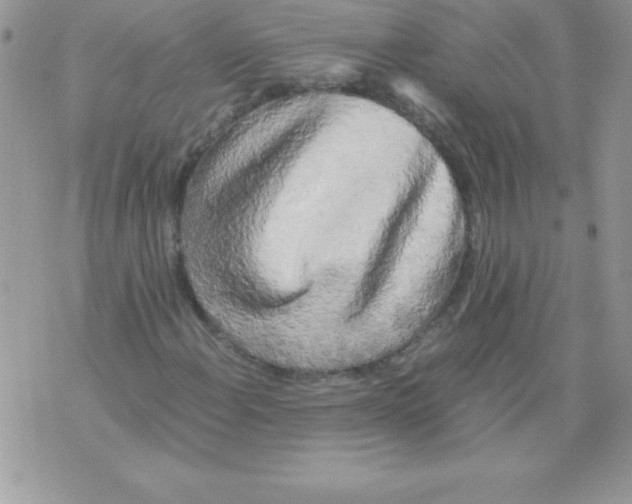 X0000071791108200607282256