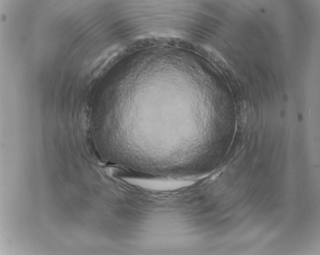 X0000071791110200607282256
