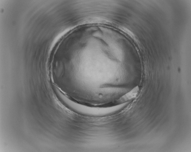 X0000071791120200607282256