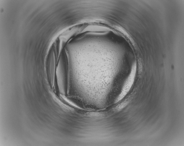 X0000071791124200607282256
