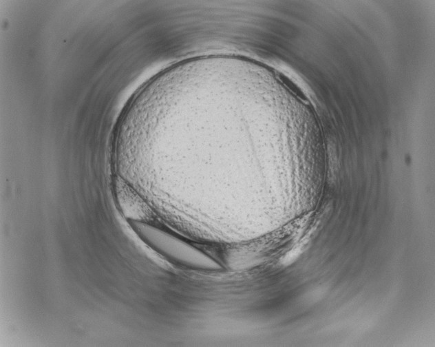 X0000071791142200607282256