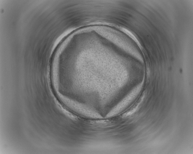 X0000071791149200607282256