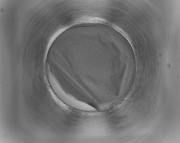 X0000071791152200607282256