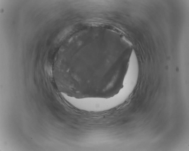 X0000071791155200607282256