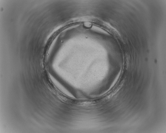 X0000071791166200607282255